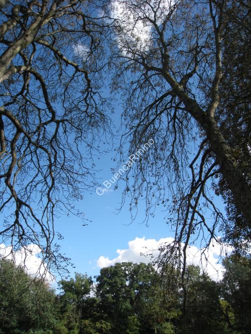 La main qui gratte 1 octobre 2010 270_GF