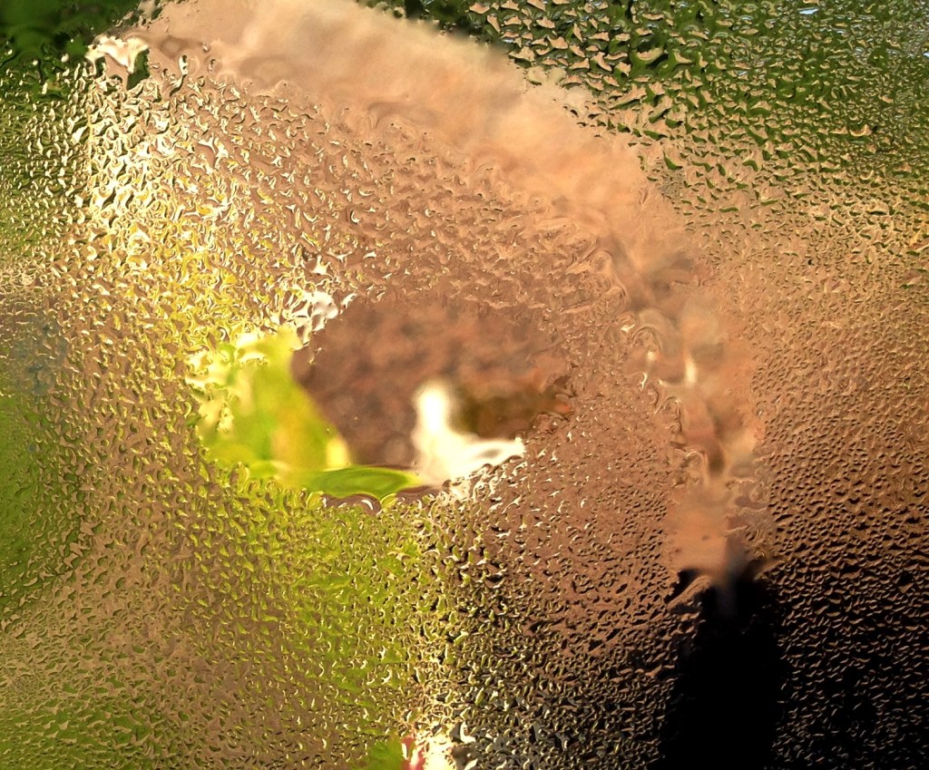 Courcival, les toits